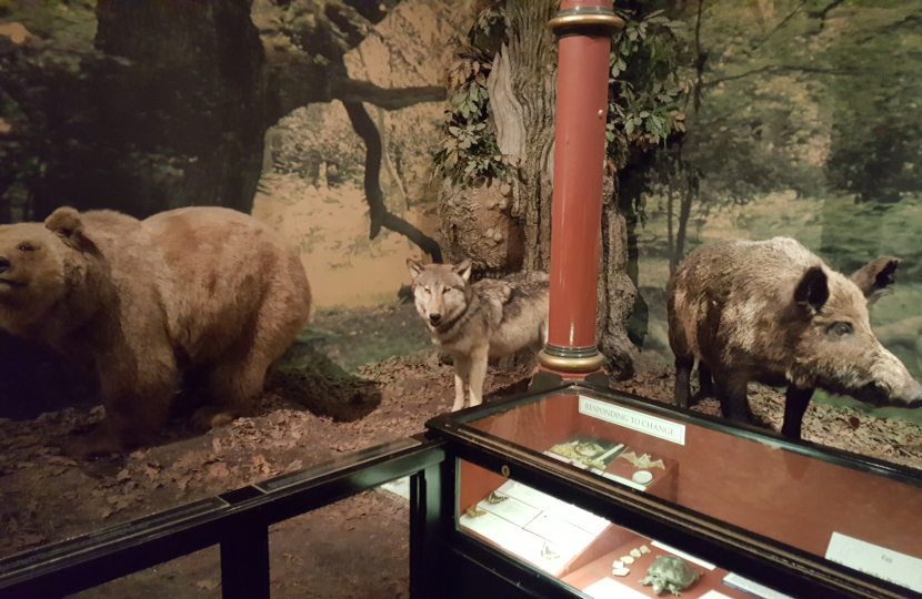 exhibit