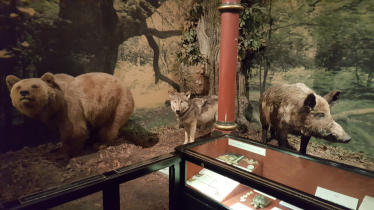 exhibit